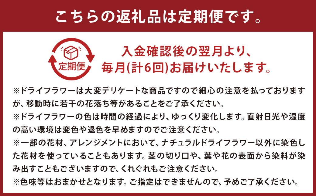 【6ヶ月定期便】ドライフラワーリース Mサイズ