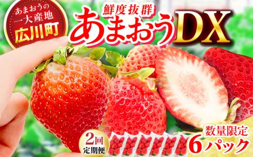 【2回定期便】博多あまおう 3ケース（270g×6P）　広川町 / JAふくおか八女農産物直売所どろや [AFAB080]