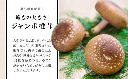 大きさや見た目、味わい、食感にもこだわり開発された椎茸です。
肉厚で歯ごたえが良く、風味と旨みがたっぷり！