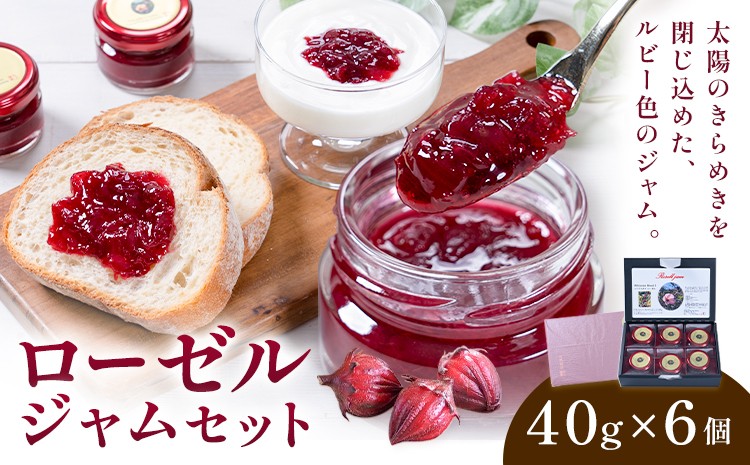 
                  ローゼルジャムセット 40g×6個 もり農園《30日以内に出荷予定(土日祝除く)》熊本県 苓北町 ジャム ローゼル ハイビスカス セット
                