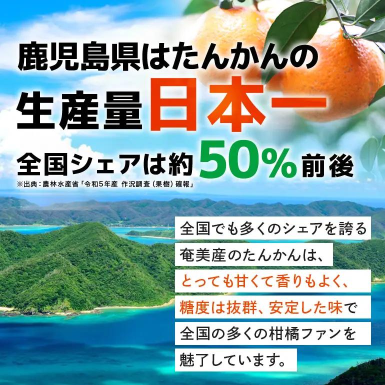 【 2027年 先行予約 】《 奄美大島産 》 おいしい 完熟 たんかん 光センサー選別 5kg A145-002 期間 数量 限定 柑橘 みかん 果物 フルーツ 旬 甘い 光センサー サイズ おまか