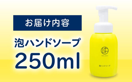 泡ハンドソープ 250ml BKAZ001ソープ