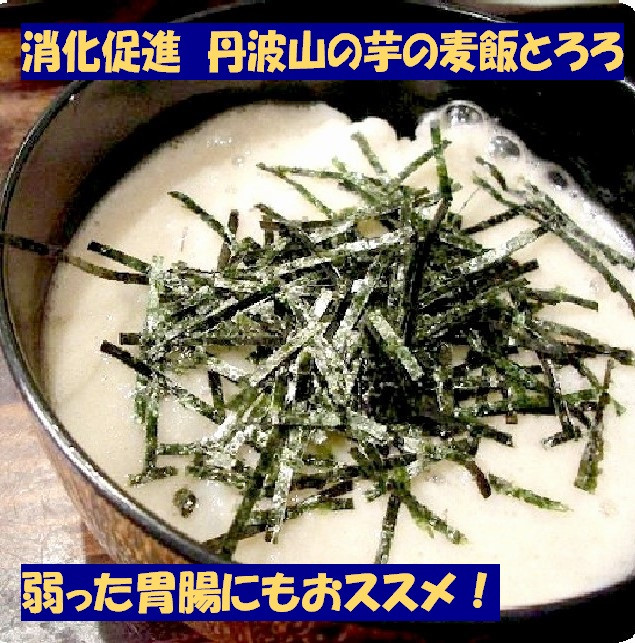 【芋家なか吉】丹波山の芋 わけあり 3キロ ［ 京都 山の芋専門店 職人 とろろ 芋 いも イモ 野菜 3kg 不揃い 事業者応援品 応援 人気 おすすめ お取り寄せ 通販 送料無料 ふるさと納税 ］