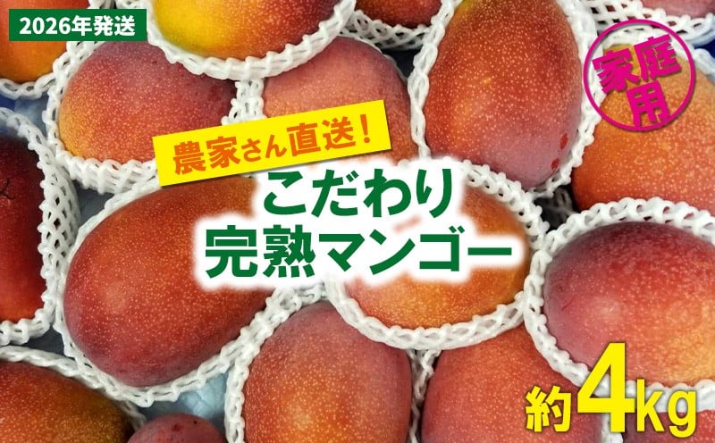 
            【2026年発送先行予約】こだわりのアップルマンゴー　家庭用4kg　ふるいっと 数量限定 名護市 沖縄 フルーツ くだもの 果物 南国 スイーツ デザート 人気 おすすめ ギフト プレゼント 期間限定 おきなわ アップルマンゴー 家庭用 贈り物 大自然 お取り寄せ
          