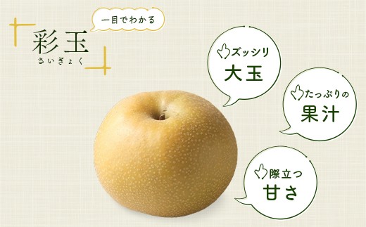 梨 なし 彩玉 さいぎょく 幸水 こうすい 豊水 ほうすい あきづき 新高 にいたか