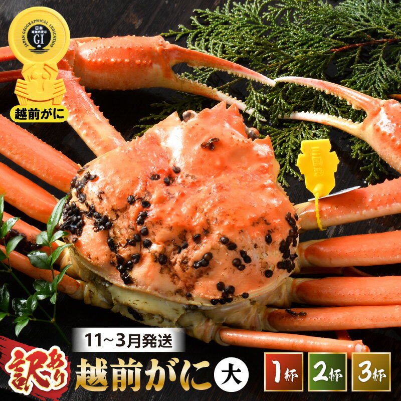 【ふるさと納税】【先行予約】【訳あり】 茹で「越前ズワイ蟹」 脚折れ 大サイズ 1〜3杯 【選べる杯数 / 発送月】【2025年11月〜2026年3月発送予定】【わけあり ワケアリ カニ かに 蟹 越前ガニ 越前蟹 ずわいがに ズワイガニ ズワイ ボイルガニ 姿 ボイル 冷蔵 国産 県産】