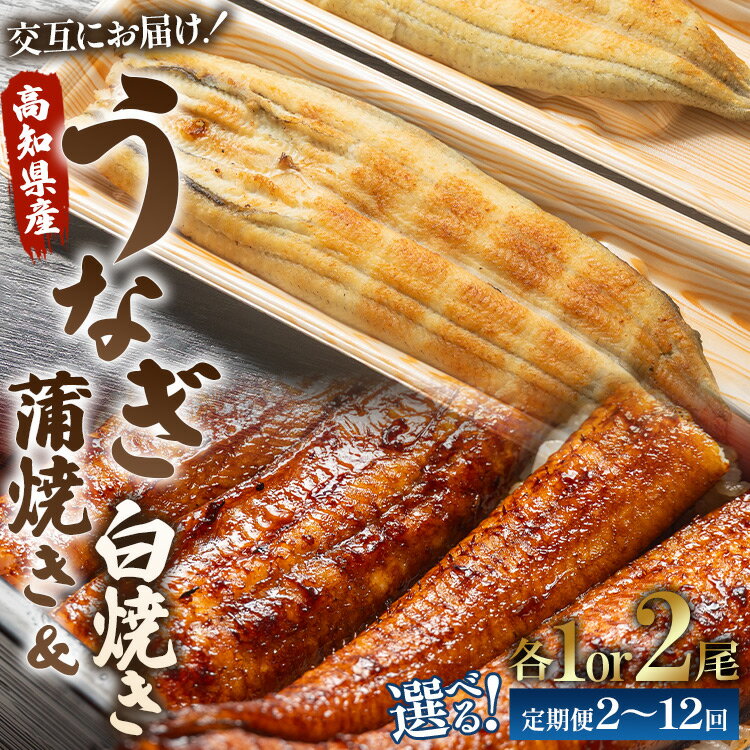 【ふるさと納税】【選べる】うなぎ蒲焼き&白焼き120g (無頭) 交互にお届け（内容量：各1尾/各2尾）（定期便：2回/3回/6回/12回）- 魚介 国産 海鮮 魚 かばやき 鰻 ウナギ 惣菜 おかず お手軽 加工品 加工食品 しらやき セット 食べ比べ 高知県 香南市【冷凍】