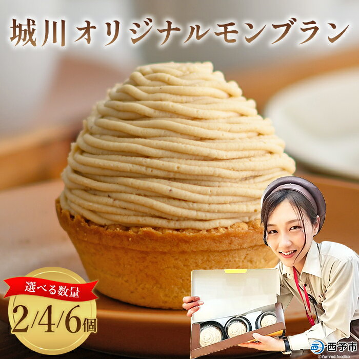 栗 スイーツ ＜城川オリジナル モンブラン 6個入り＞ マロン くり クリ 国産 和栗 ペースト クリーム 渋皮煮 スポンジケーキ 生クリーム チーズ バター タルト メニークエスト 愛媛県 西予市【冷凍】『2か月以内に順次出荷予定』ふるさと納税モンブラン