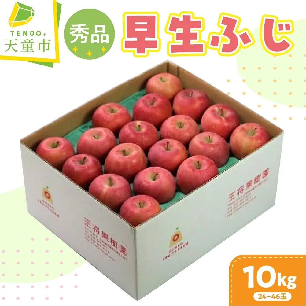 りんご 早生ふじ 10kg フルーツ 果物 山形 リンゴ