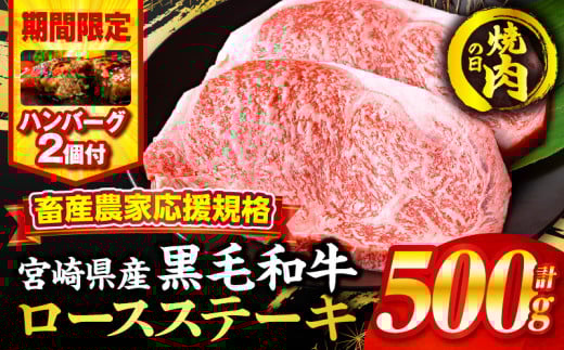 【焼肉の日(8月29日)までにお届け】【期間・数量限定】畜産農家応援！宮崎県産黒毛和牛ロースステーキ250g×2・国産牛ハンバーグ100g×2個_M132-091-B2-NK