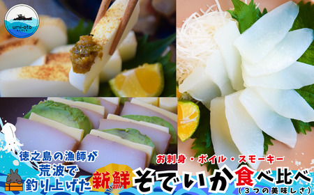徳之島の漁師が荒波で釣り上げたそでいか 食べ比べ お刺身・ボイル・スモーキー （ ３つの美味しさ ソデイカ いか イカ ）