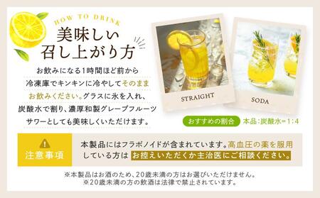 バンカンチェッロ180ml 2本セット | 和製リキュール 河内晩柑 アルコール 酒 サワー 有限会社森瓦店 MM025