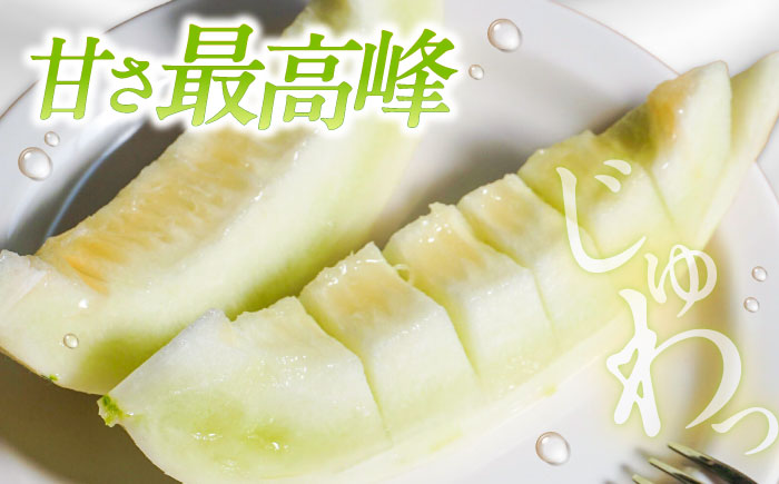 しらかばメロン 5玉〜8玉 約5kg / メロン めろん 果物 フルーツ / 南島原市 / うえだメロン園 [SAD009]