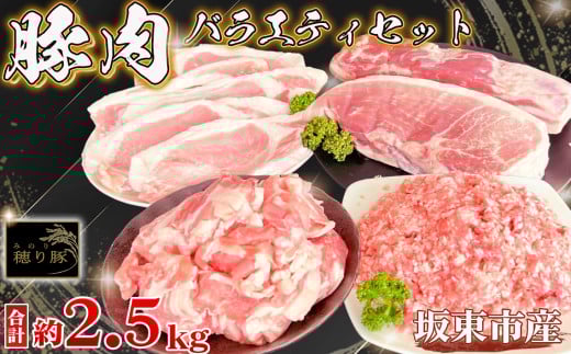 No.840 坂東市産の豚肉バラエティセット　約2.5kg ／ 背ロース バラ もも 小間切れ ひき肉 セット うま味 茨城県