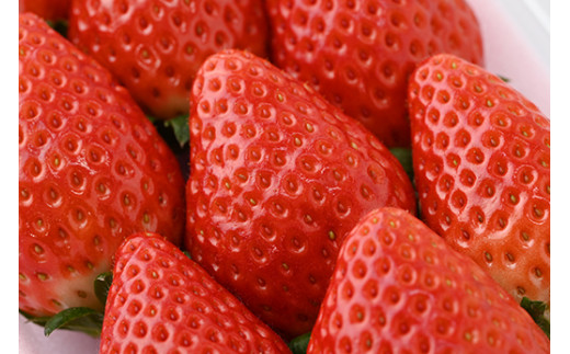 【定期便】栃木のいちご3ヶ月お届け 食べ比べセット（スカイベリー・とちあいか・ミルキーベリー）6パック×3回 ※2024年1月～3月頃に順次発送 ※離島への配送不可 ※着日指定不可