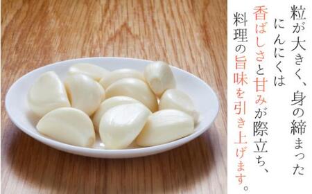 にんにく 奈良県葛城産 訳あり 約1kg(500g×2袋)  【入金確認後１か月以内に発送】葛城市【smlk017】