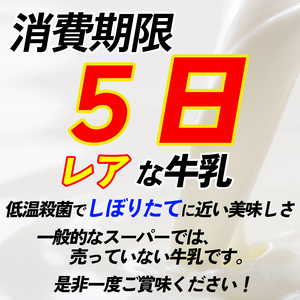 【6か月定期便】山地酪農牛乳1L×6本 バターができる ミルク 低温殺菌 生乳100％ 成分無調整 牛乳 高知県 南国市