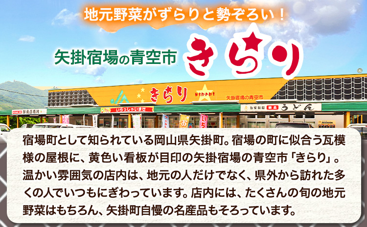 令和7年産 青空市きらり 5kg 岡山県産 (品種はお選びいただけません) 青空市きらり《30日以内に発送予定(土日祝除く)》岡山県 矢掛町 白米 精米 米 コメ
