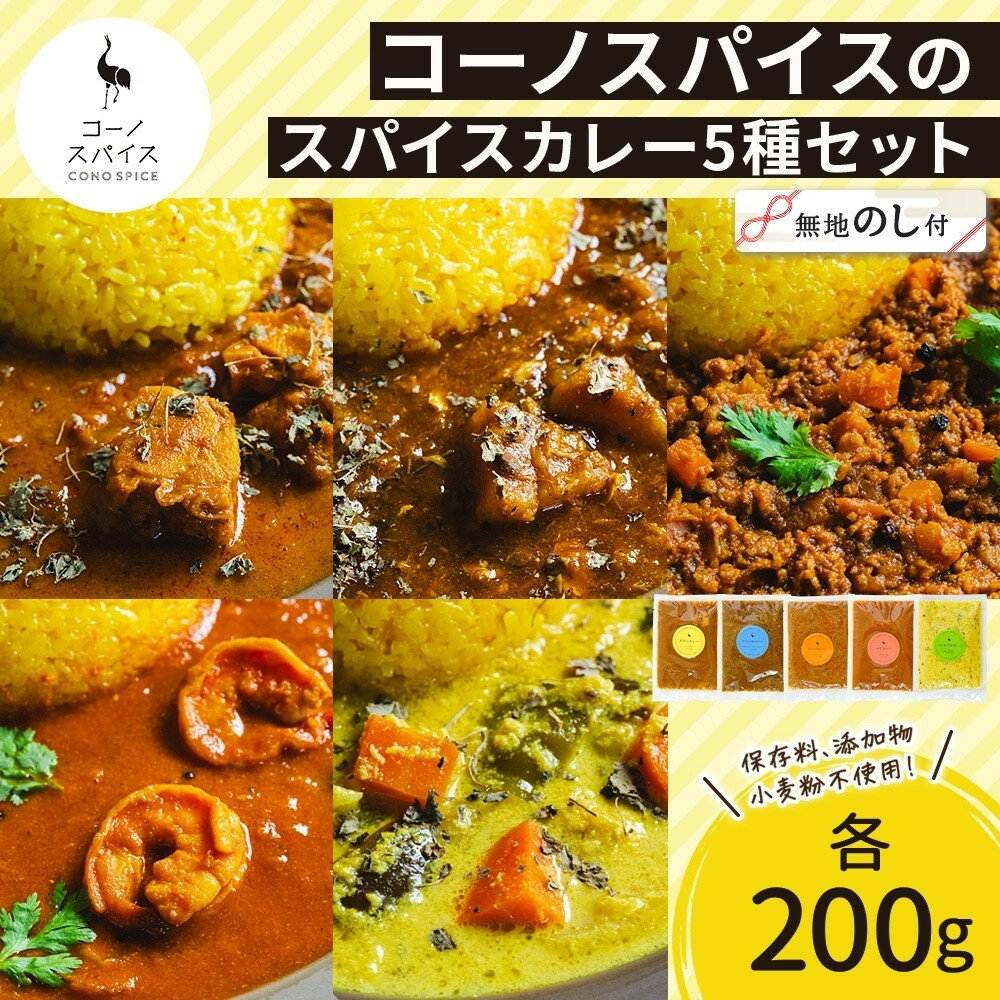 【ふるさと納税】《無地熨斗》 コーノスパイス スパイスカレー5種セット チキン サバと大根 キーマ エビ ベジタブル 各200gパック 小麦粉不使用 グルテンフリー CONO SPICE コーノコーラ 愛知県 名古屋市