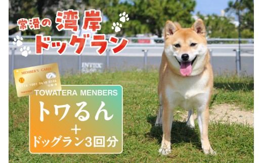 
                  【TOWATERAメンバーズ】ドッグラン、ペットホテルなどをお得に利用できる「トワるん」会員入会＋ドッグラン3回分（1頭）｜犬 ペット おでかけ 知多半島 伊勢湾 オーシャンビュー 海沿い 観光 体験チケット プール トリミング イベント ペットホテル 犬用ホテル カフェ ペット同伴 犬連れ ドッグラン 愛犬 大型犬 中型犬 小型犬 dog 利用券 体験券 広い 屋内 屋外 雨の日 会員権 愛知県
                