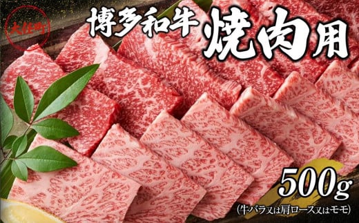 博多和牛焼肉用　500g【焼肉用 牛肉 希少 国産 和牛 博多和牛 牛肉 肉 牛 焼き肉 福岡県 大任町 AN006】