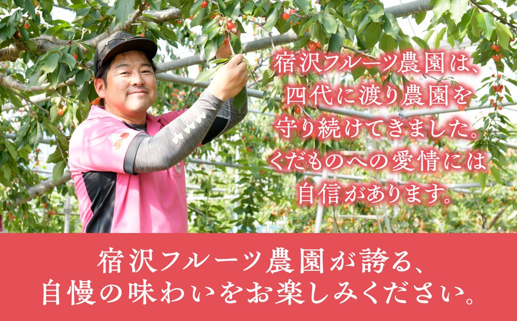 藤稔