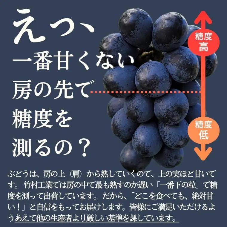 ぶどう２種セット（シャインマスカット／クイーンルージュ®）約2kg／2026年9月下旬頃～10月頃 配送予定[TK17]//長野県 南信州 種なし 皮ごと 詰め合わせ 食べ比べ 新鮮 クインルージュ 