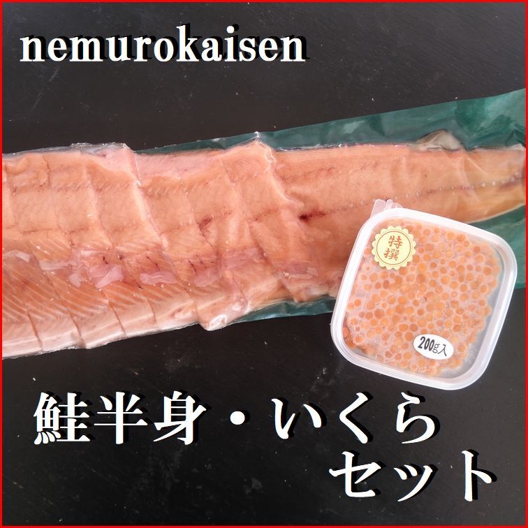 【ふるさと納税】＼年内配送間に合います！／鮭半身(切身)とイクラの醤油漬けセット C-57058