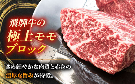 飛騨牛 モモ ブロック 600g (300g×2個) 瑞浪市 / 養老ミート 冷凍 赤身 和牛 ギフト[AZDB009]