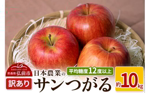 りんご 【先行受付】平均糖度12度以上！ サンつがる 約10kg 訳あり クール便