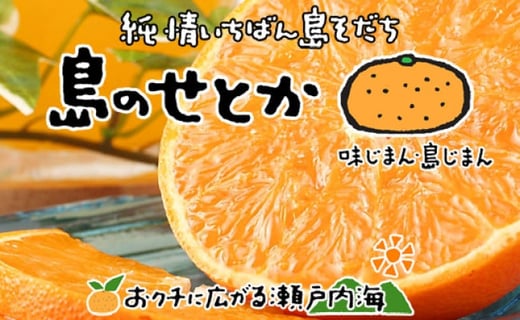 
            【2026年3月上旬から発送予定】 希望の島 せとか 訳あり品 2kg |愛媛 松山 みかん ミカン mikan  果物 フルーツ 柑橘 果実 先行予約 中島産 柑橘 ジューシー 愛媛県 松山市
          