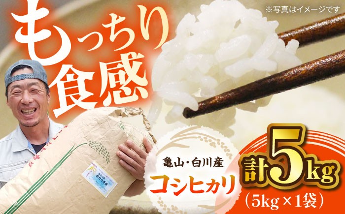 
            おいしい！亀山・白川産コシヒカリ 5kg 亀山市/せせらぎの里営農組合 お米 コシヒカリ 送料無料 [AMAX003]
          