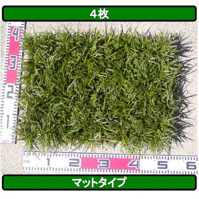 ふるさと納税 香美市 タマリュウ(玉竜) 4枚 タマリュウ.com
