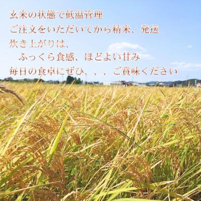 ふるさと納税 館山市 【令和7年産】館山市九重産コシヒカリ　5kg 精米 |  | 01
