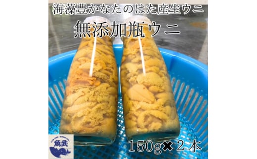 岩手県たのはた産　無添加瓶入り生ウニ150g×2本　産地直送【1395516】