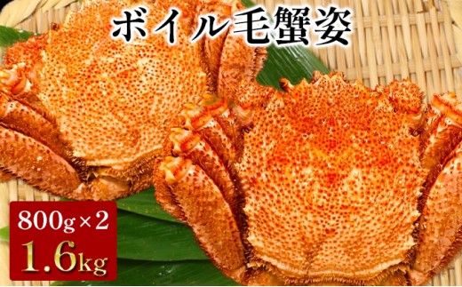 
                  大型 ボイル毛ガニ姿　800g×2尾 1.6kg　送料無料 毛カニ 蟹 
                