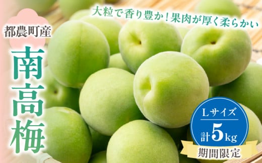 先行予約≪期間限定≫都農町産「南高梅(Lサイズ)」計5kg 梅 梅干し 果物 国産_T008-012