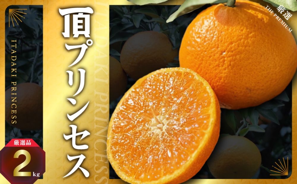 
                  ＜紅プリンセス同品種＞愛媛県産 新品種柑橘 愛果48号＜甘平×まどんな＞2kg＜D31-56＞_みかん 蜜柑 ミカン 頂プリンセス 愛媛 柑橘 かんきつ 果物 くだもの フルーツ 青果 デザート 甘い おいしい 産直 産地直送 愛媛県 国産 送料無料【1660048】 YWTAC045
                