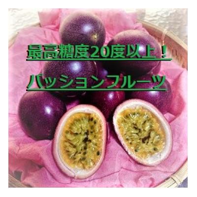 ふるさと納税 奄美市 高糖度!パッションフルーツ　約1kg【2026年発送】