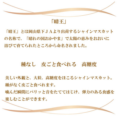 ＜2024年8月下旬より発送＞ご家庭用　岡山県産　シャインマスカット　晴王　400g×2房 TY0-0314