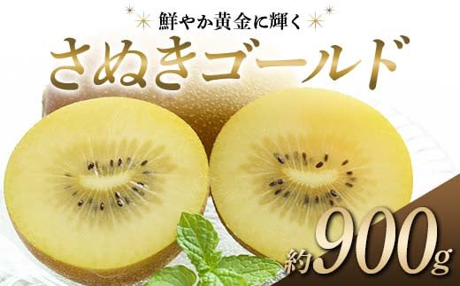 【先行予約】《2025年10月～2026年1月頃お届け》 さぬきゴールド 鮮やか黄金に輝く ゴールドキウイ 約900g 香川県産 大粒キウイ キウイフルーツ ゴールデンキウイ フルーツ 果物 くだもの 旬のフルーツ 旬の果物 香川  香川県共通返礼品 F5J-1022