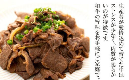 【2週間以内発送】国産和牛切り落とし2.4kg