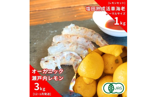 [予約] オーガニック瀬戸内レモン 3kg(12~1月発送) / 塩田熟成活車海老 ノーマルサイズ 1kg(11~2月発送) オーガニック 有機レモン 有機JAS 果汁100% レモン えび エビ エビフライ 晩酌 国産 瀬戸内 濃厚 甘さ控えめ 免疫力向上 健康 ビタミンC クエン酸 抗酸化 ソーダ 炭酸水