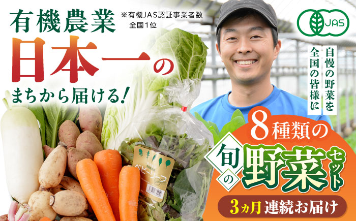 【全3回定期便】オーガニック 野菜 セット 8種 熊本県産有機野菜 山都町産有機野菜 産地直送 高原野菜 新鮮有機野菜 採れたて有機野菜 旬 有機野菜セット 有機野菜食べ比べ 九州産有機野菜 有機野菜 オーガニック【株式会社 肥後やまと】 [YAF028]