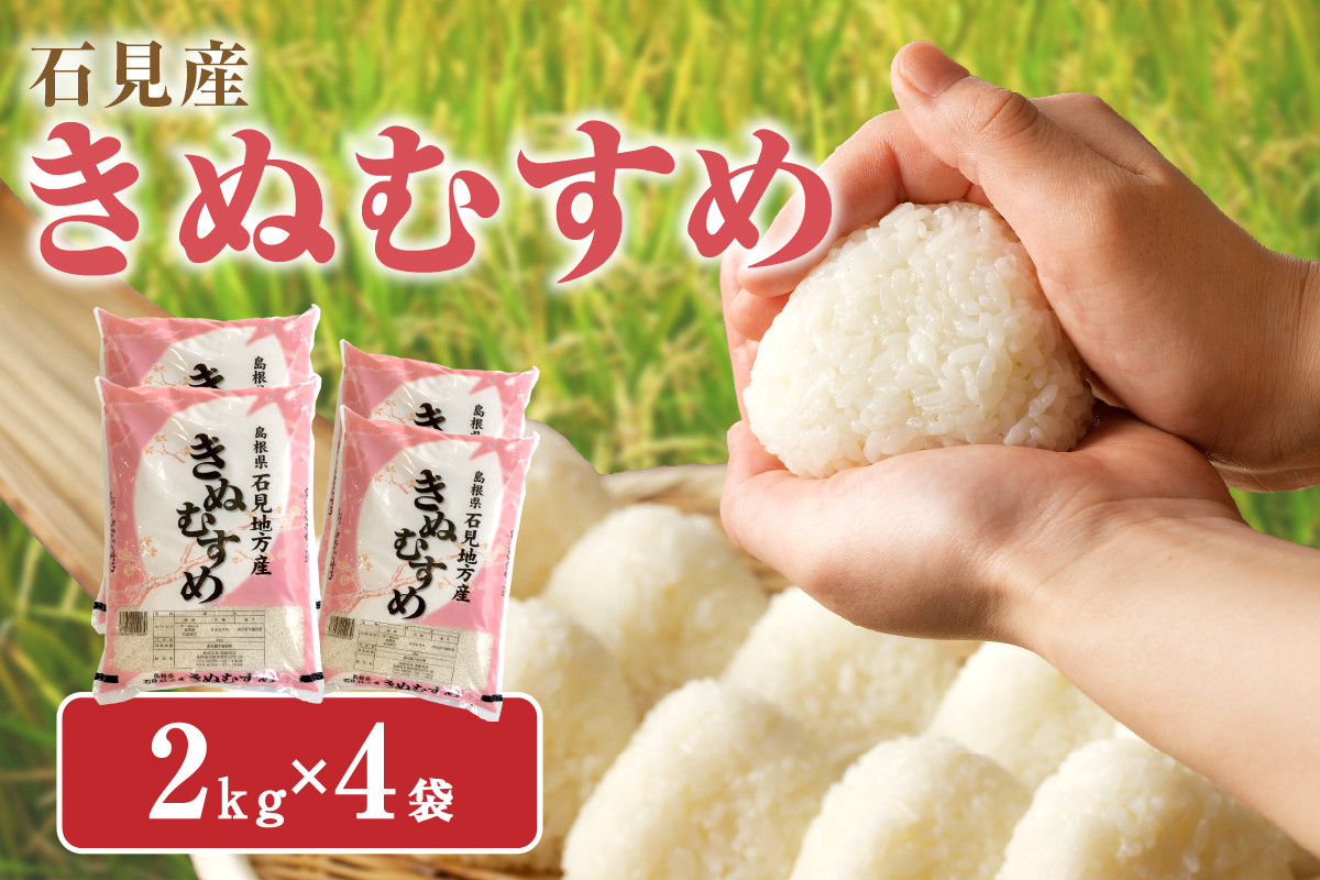 
            【令和7年産】【新米先行予約】石見産「きぬむすめ」（２ｋｇ×４袋）＜2025年11月より配送開始＞ 米 お米 きぬむすめ 精米 白米 玄米 ごはん お取り寄せ 特産 【058_1814】
          
