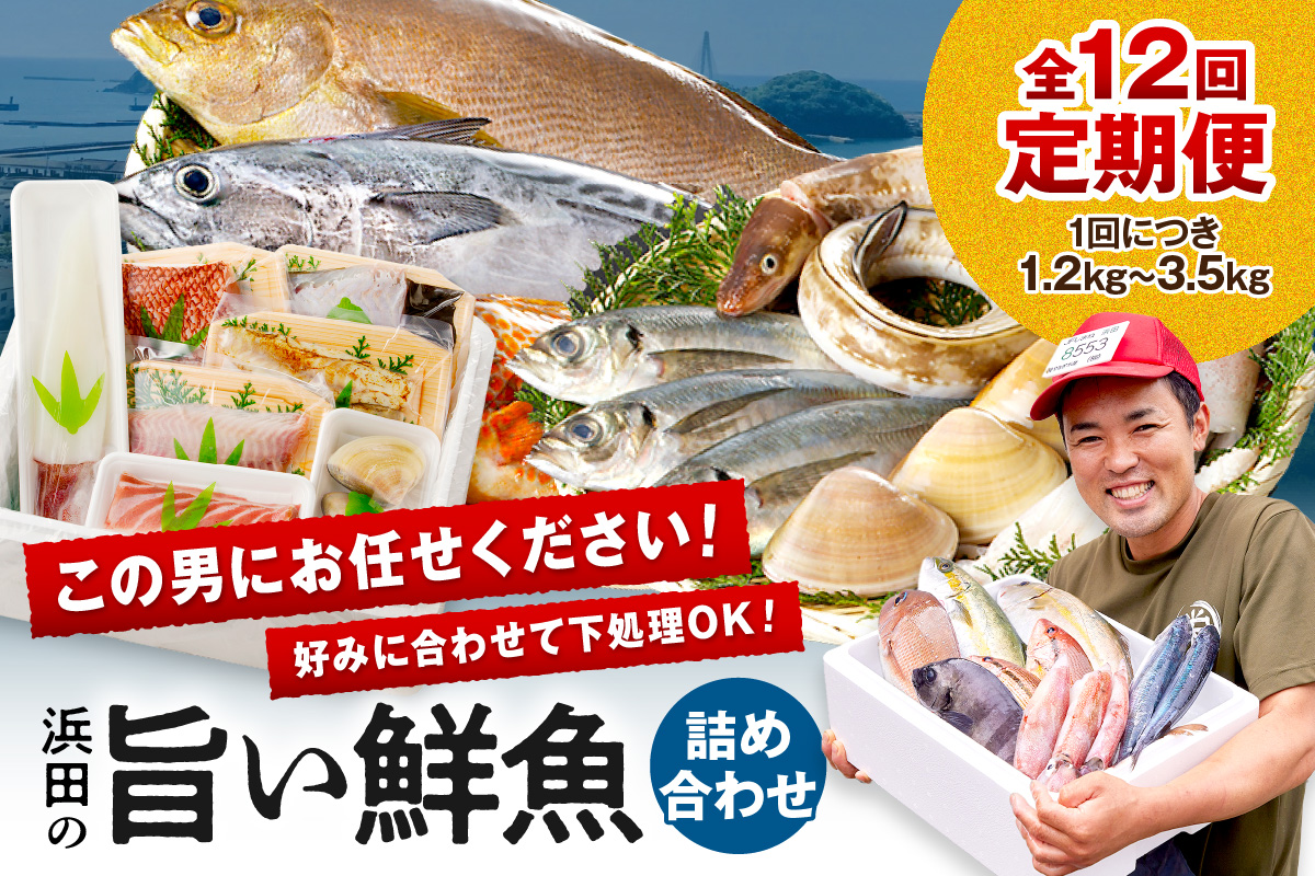 【定期便】この男、極める！～浜田の旨い鮮魚12か月毎月お届けコース～ ふるさと納税 定期便 鮮魚 魚介類 魚貝類 お楽しみ定期便 【006_2044】