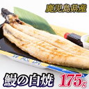 【ふるさと納税】 うなぎ 白焼き 国産 鹿児島 1尾 175g 鰻 ウナギ 土曜 丑の日 冷凍 真空パック レンジ 簡単調理 専門店 うな勝 下関 山口