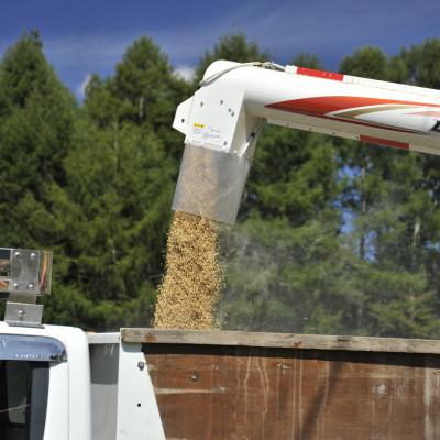 ふるさと納税 茅野市 【新米先行受付】長野県産特別栽培米 コシヒカリ10kg |  | 03