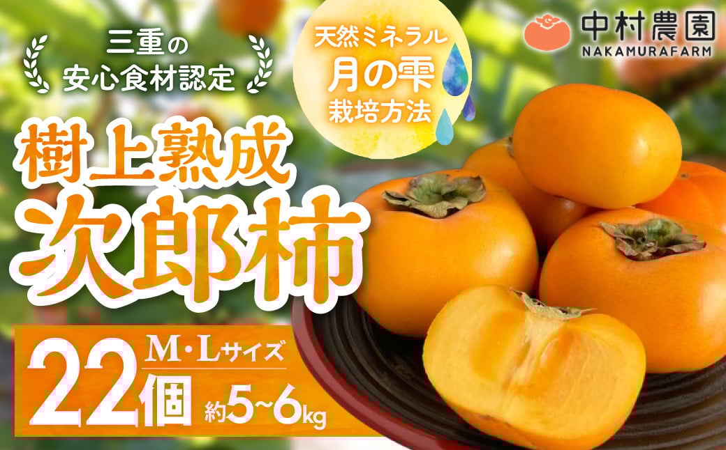 
            【2025年発送】三重の安心食材認定！中村農園の次郎柿 M・Lサイズ　22個 (約5～6㎏)　先行予約 先行 予約 柿 カキ かき 減農薬 安心 贈答 果物 くだもの フルーツ 三重県 多気町 NN-03
          