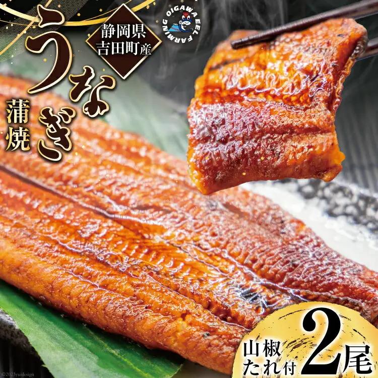 うなぎ 国産 蒲焼 2尾 うなぎ(150g以上)